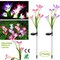 Edge Collections – Solar Garden Lily Flower LED Pathway Stake Lights with 7-Color Changing (IP65) – 2 Pieces